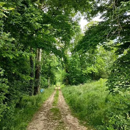 Haras Des Buissonnets *