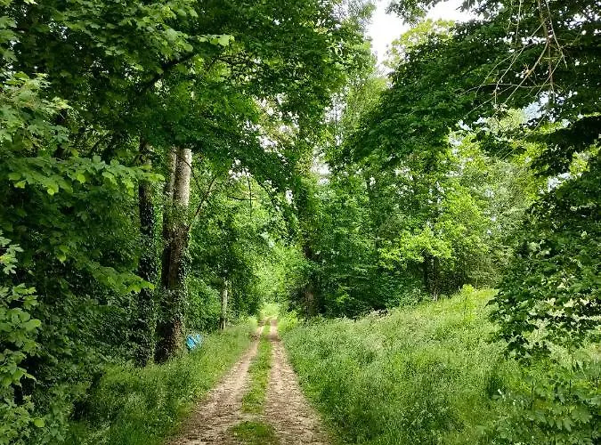 Haras Des Buissonnets *